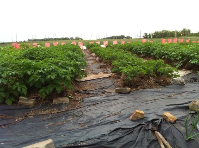  photo 22D3C02F-FABB-4BC7-A29A-842A0ACBFB45-27675-0000031FC9EC2388_zpscb038969.jpg